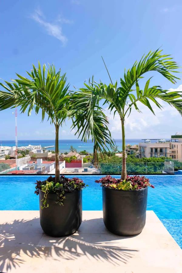 Stayon5A.Av.Penthouse With Privatepool Freeparking Playa del Carmen Buitenkant foto